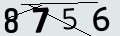 verifycode